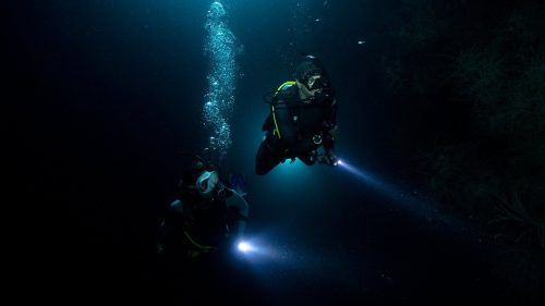 night-diver-nha-trang