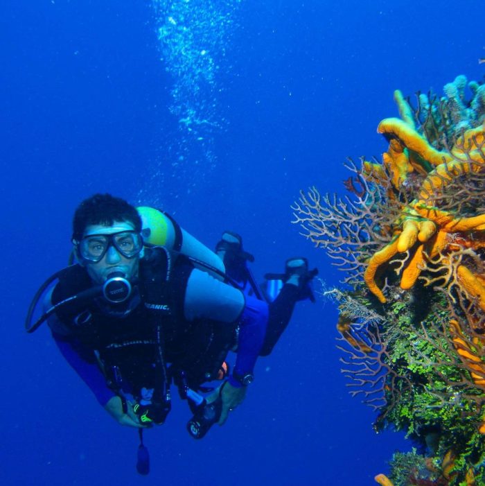 coral & scuba diver, Hon Tam island, Nha Trang bay