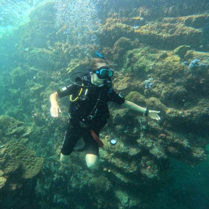 diver underVietnam, island Hon Tam