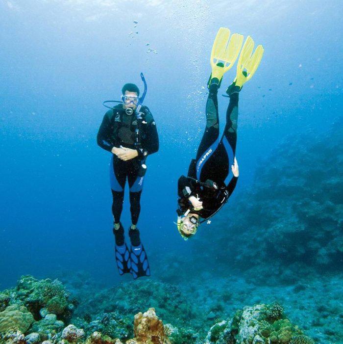 2 scuba divers underwater